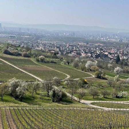 Landgasthof Rebstock Weil Am Rhein / Basel 외부 사진