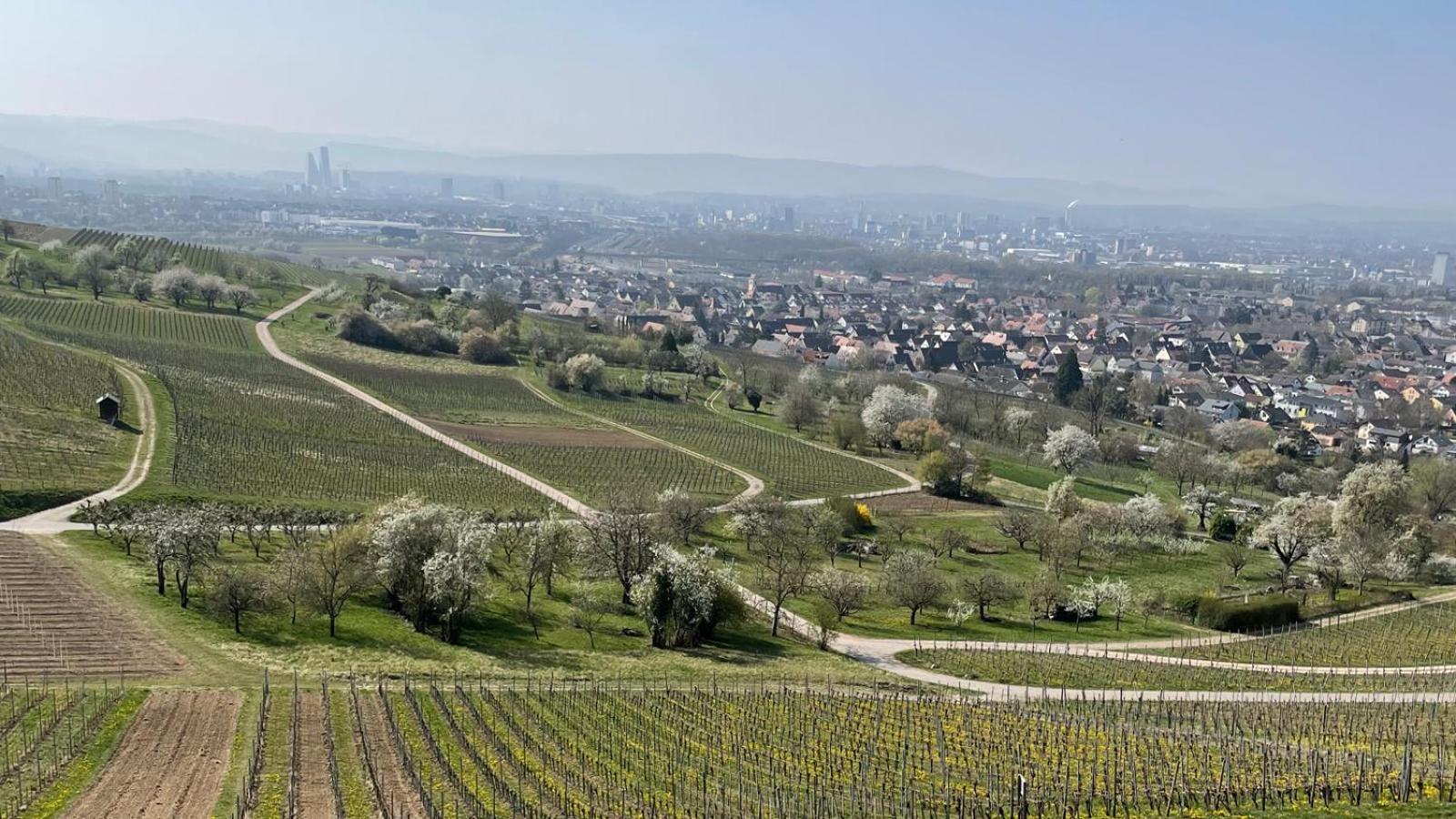 Landgasthof Rebstock Weil Am Rhein / Basel 외부 사진